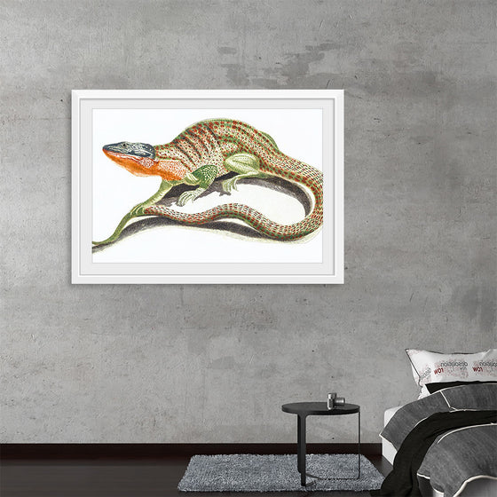 "Reptiles Vintage Art"