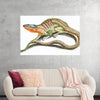 "Reptiles Vintage Art"