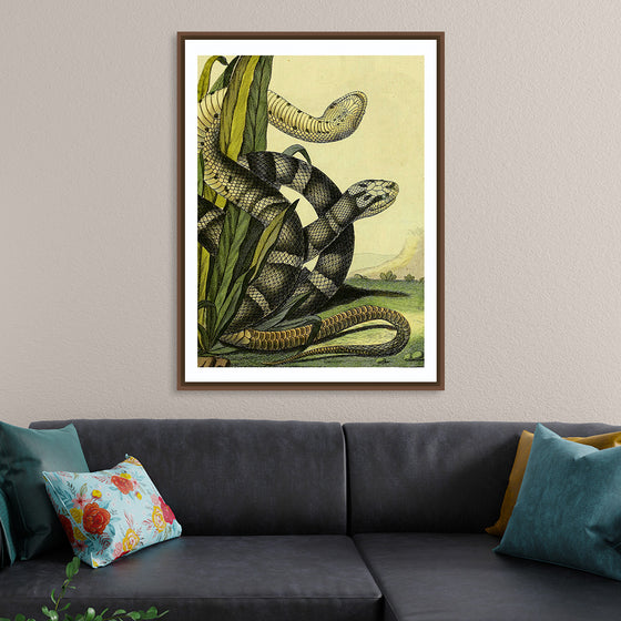 "Vintage Illustration Snake"