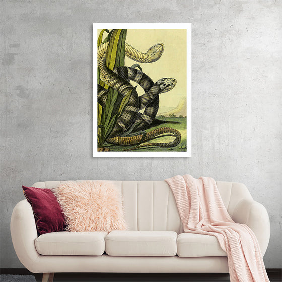 "Vintage Illustration Snake"