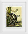 "Vintage Illustration Snake"