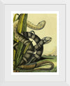 "Vintage Illustration Snake"
