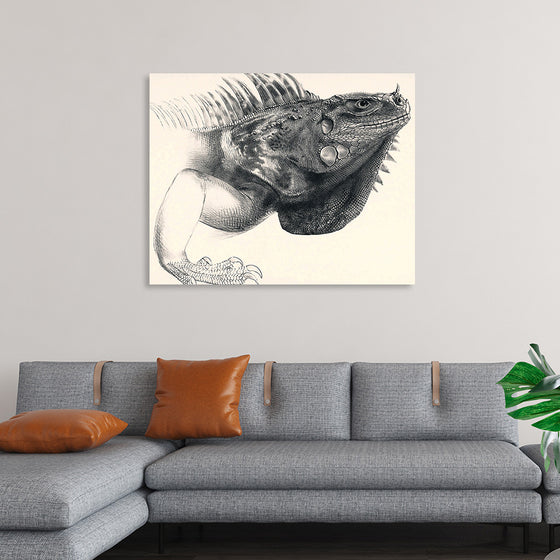 "Art Iguana"