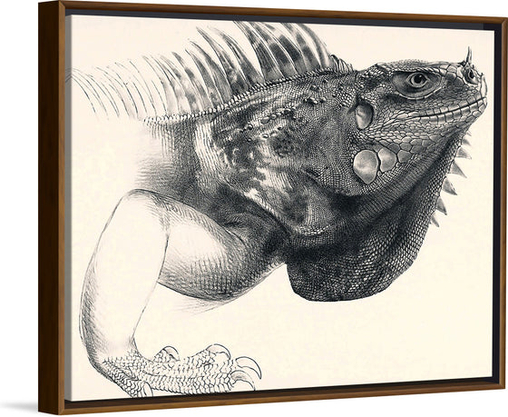 "Art Iguana"