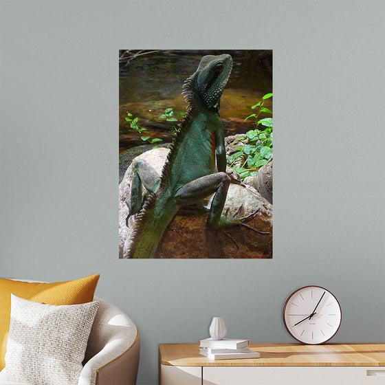 "The Majestic Lizard"