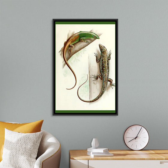 "Gecko & Lizard"