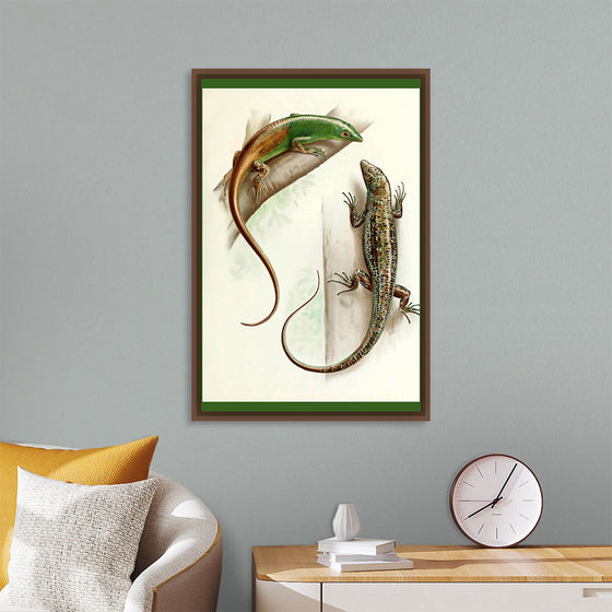 "Gecko & Lizard"