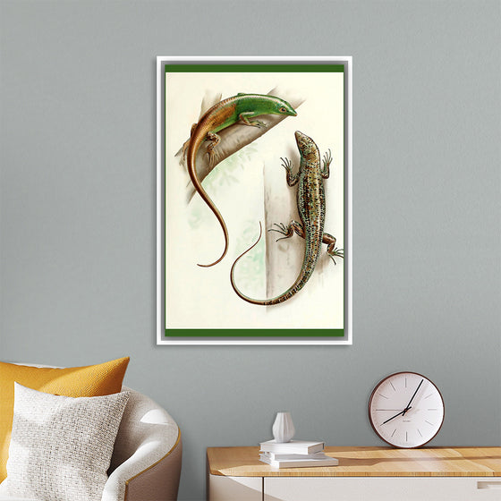 "Gecko & Lizard"