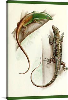  “Gecko Lizard” is a captivating artwork that brings the enigmatic world of reptiles to your living space. The meticulous detail and vibrant colors capture the essence of these fascinating creatures, showcasing a green gecko and a patterned lizard in their natural habitat. 