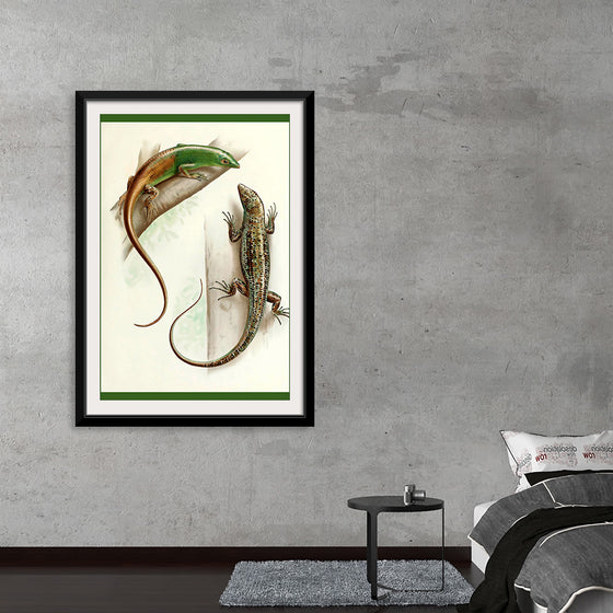 "Gecko & Lizard"