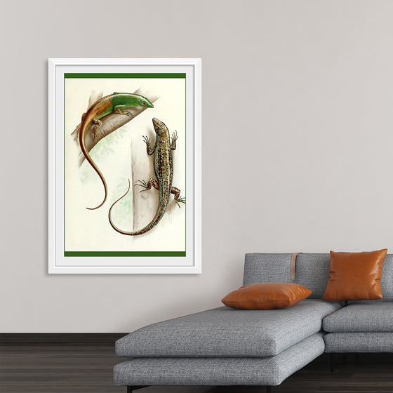 "Gecko & Lizard"