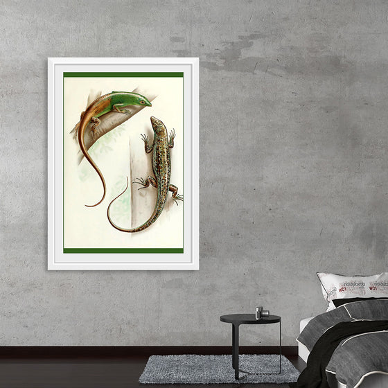 "Gecko & Lizard"