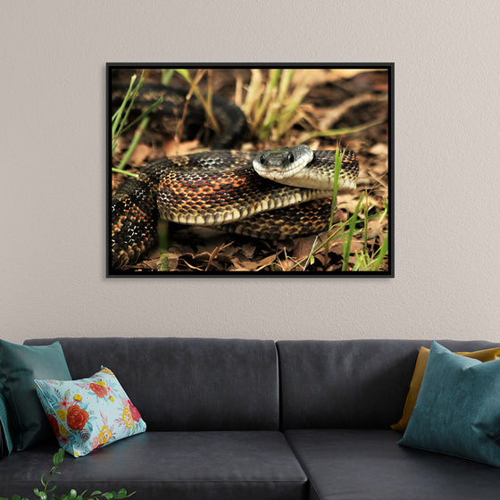 "Chicken Snake Close-Up"