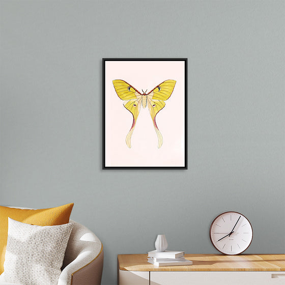 "Yellow Moth"