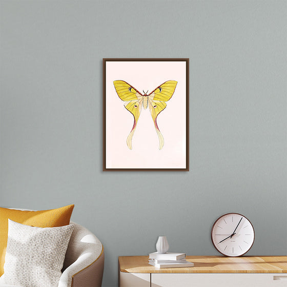 "Yellow Moth"