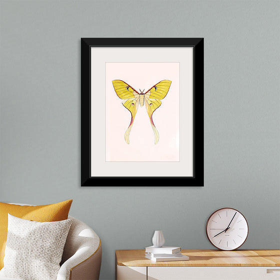 "Yellow Moth"