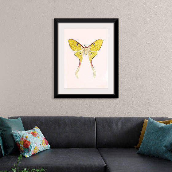 "Yellow Moth"