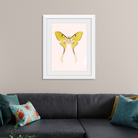 "Yellow Moth"