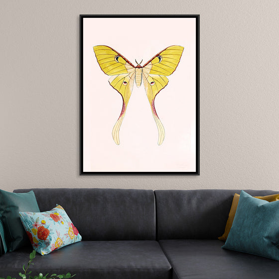 "Yellow Moth"