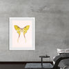 "Yellow Moth"