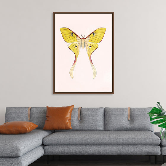 "Yellow Moth"