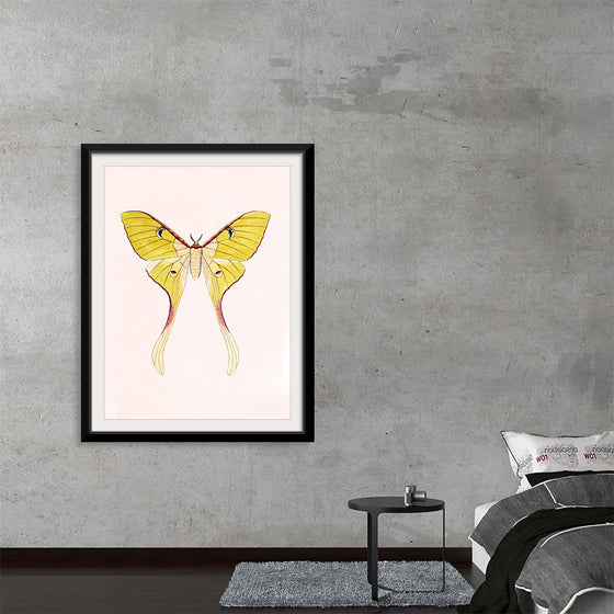 "Yellow Moth"