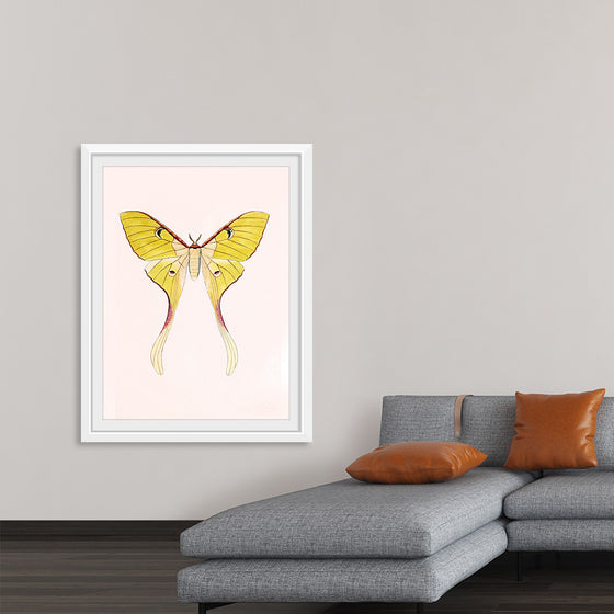 "Yellow Moth"