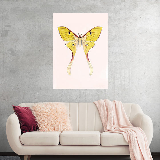 "Yellow Moth"