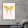 "Yellow Moth"