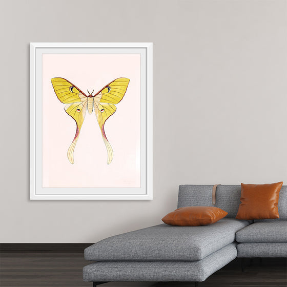 "Yellow Moth"