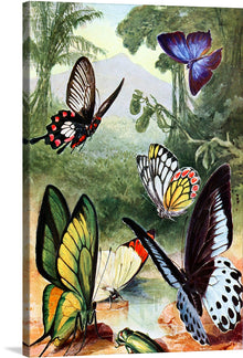  This stunning painting of a group of butterflies in a forest is a vibrant and enchanting work of art. The butterflies are all different colors and shapes, and they are all very colorful. They are flying around a pond in the forest, and the water reflects their bright colors. 