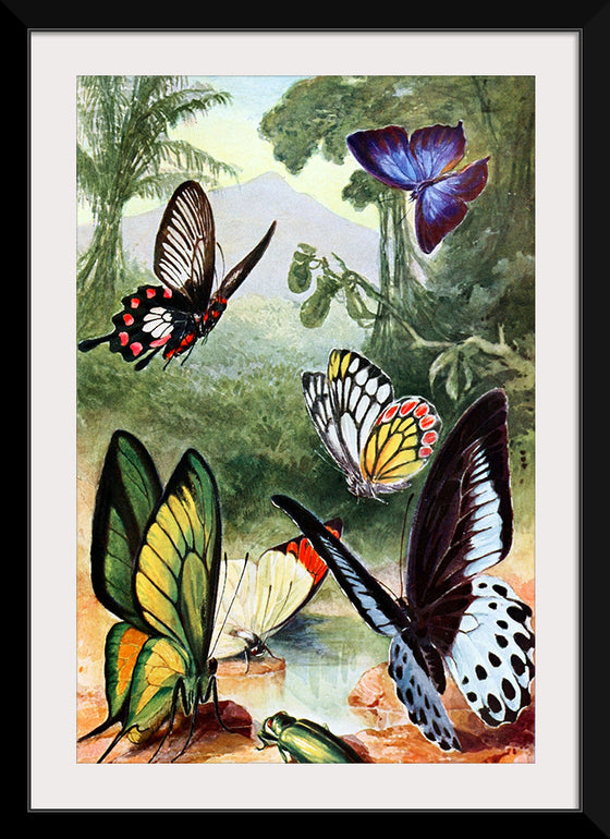 "Beautiful Butterflies"