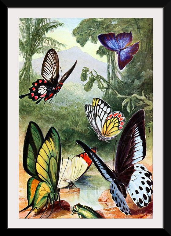 "Beautiful Butterflies"