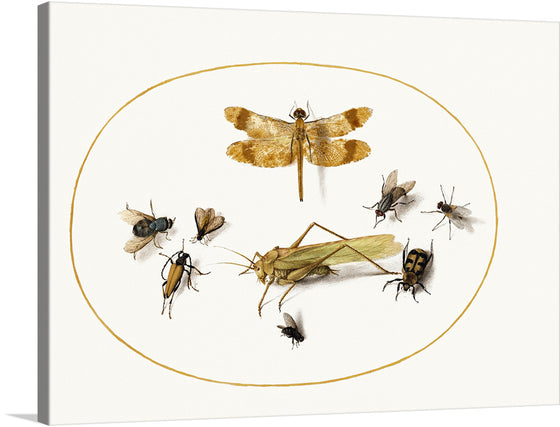 The artwork captures a delicate dance of insects encased within a golden ellipse. Each creature, from the ethereal butterfly to the enigmatic beetle, is rendered with meticulous detail, bringing to life their unique forms and textures.