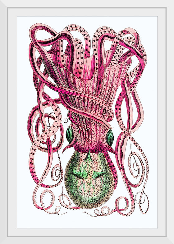 "Vintage Squid"