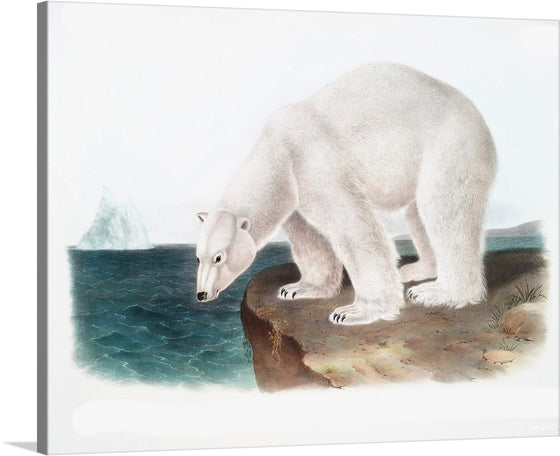 Immerse yourself in the serene yet powerful beauty of the Arctic with this exquisite print. A majestic polar bear, rendered with meticulous detail, stands at the edge of a cliff overlooking the icy waters. The tranquil sea, punctuated by distant icebergs, paints a backdrop that evokes both awe and contemplation. Every stroke captures the bear’s ethereal grace and the pristine wilderness it calls home. 