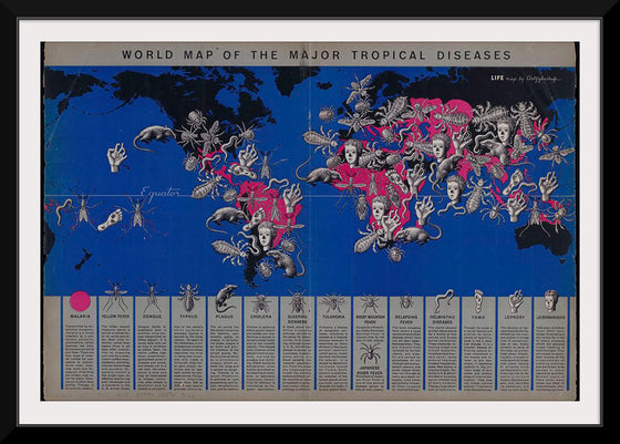"World Map of The Major Tropical Diseases"