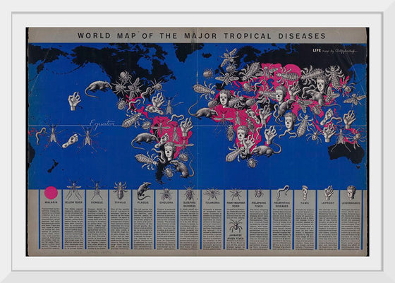 "World Map of The Major Tropical Diseases"