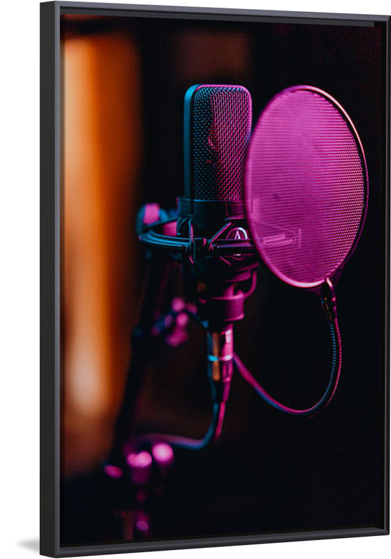 "Close Up of a Condenser Microphone"