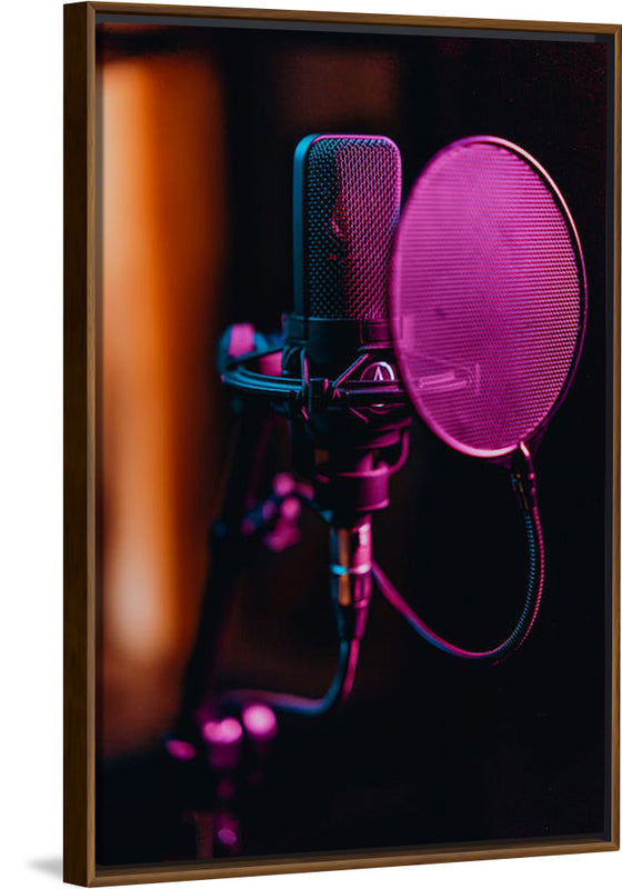 "Close Up of a Condenser Microphone"