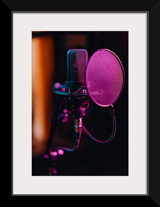 "Close Up of a Condenser Microphone"