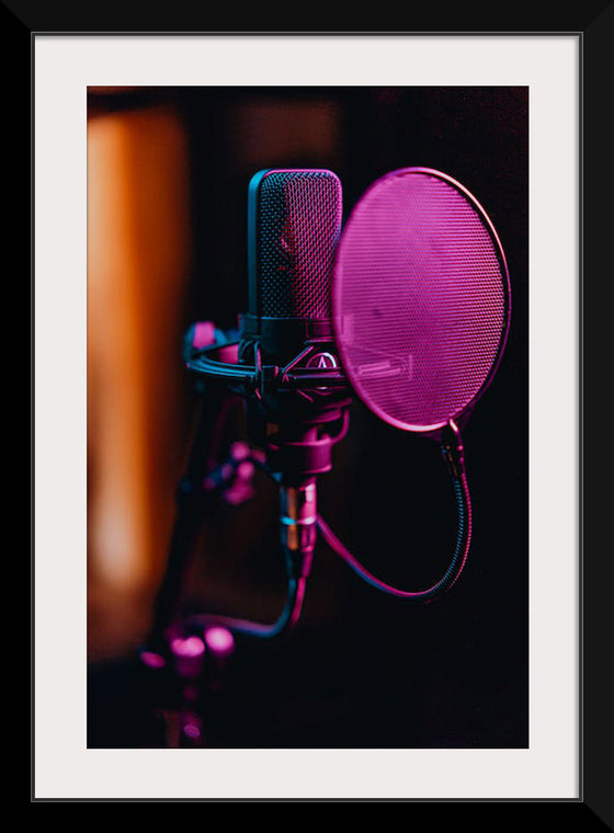 "Close Up of a Condenser Microphone"