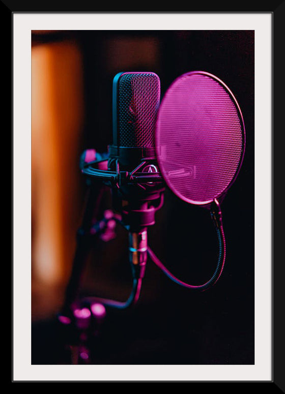 "Close Up of a Condenser Microphone"