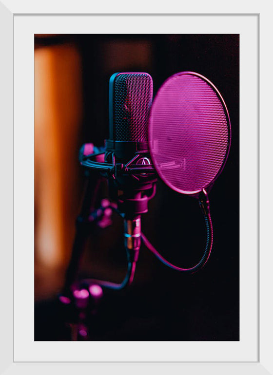 "Close Up of a Condenser Microphone"