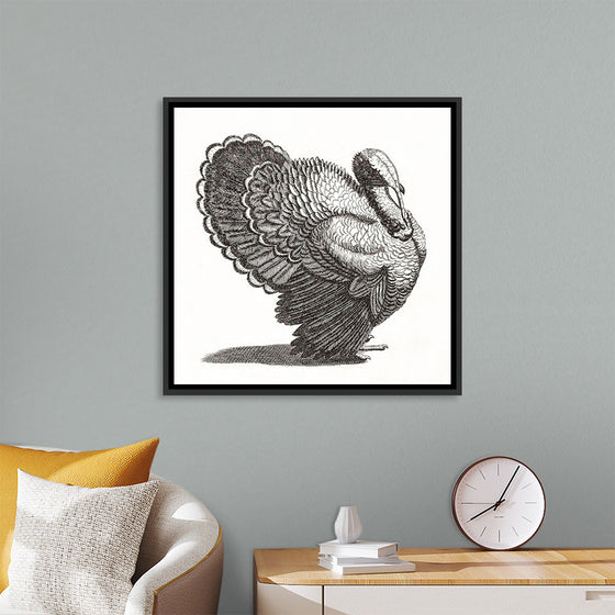"A Turkey", Johan Teyler