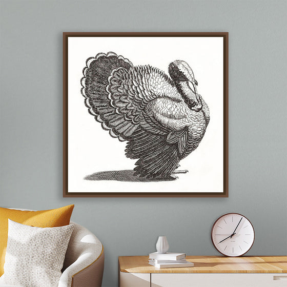 "A Turkey", Johan Teyler