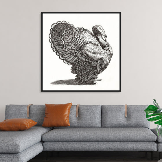 "A Turkey", Johan Teyler