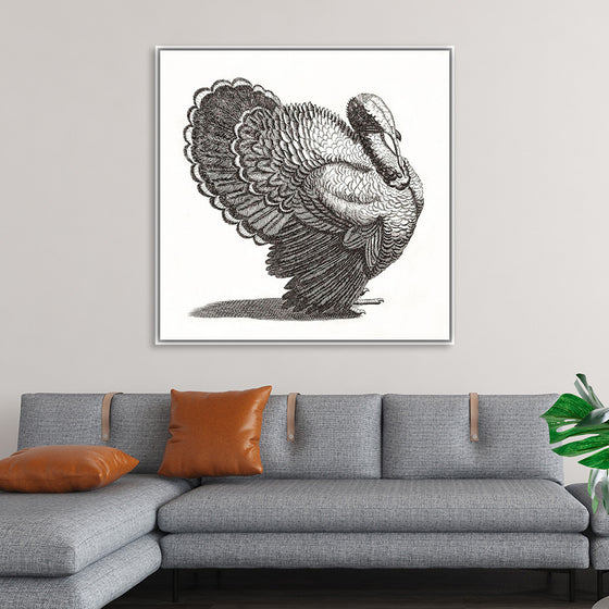 "A Turkey", Johan Teyler