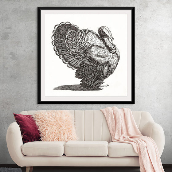 "A Turkey", Johan Teyler