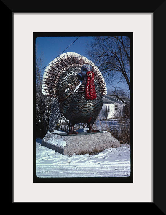 "Turkey at 4 State Poultry Supply, Route 65, Springdale, Arkansas (1984)", John Margolies